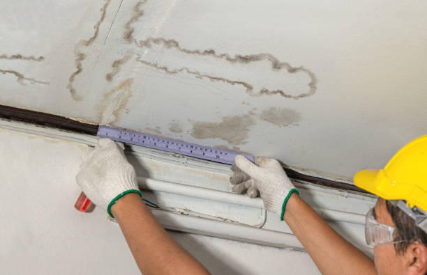 Reliable Mold Remediation contractor in Harrah, WA by Water Damage Irwin